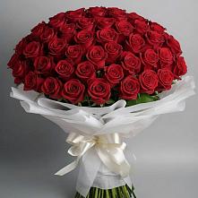 Букет 101 Красная роза Блэк Мэджик в Нестеровской