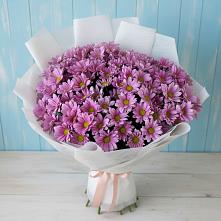 Букет цветов из:  Хризантемы в Нестеровской