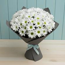 Букет цветов из:  Хризантемы в Нестеровской