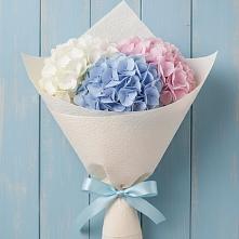 Букет цветов из:  Гортензия в Нестеровской