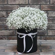 Цветочная композиция из Гипсофила в шляпной коробке в Нестеровской