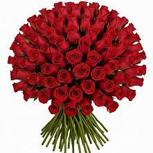 Букет Красные розы Чери Лав #REPLACE_PRED# Нестеровской